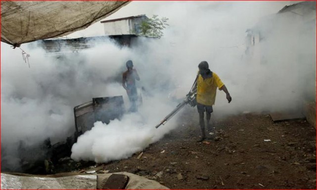 Dengue cases in Mumbai highest in 6 years